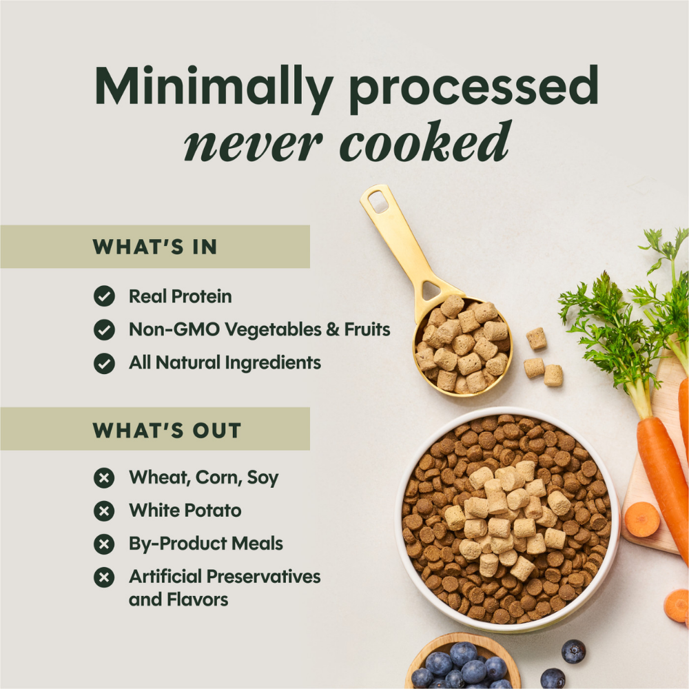 Instinct Raw Boost Mixers Beef