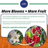 Jacks Classic Blossom Booster Fertilizer 10-30-20 - 1.5 lbs