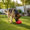 Jolly Pets Jolly Egg - Red