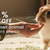 Brindle Pet Supplies