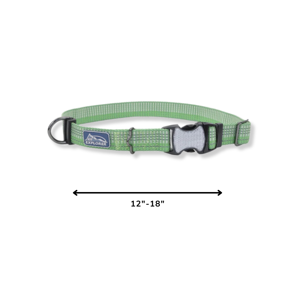 K9 Explorer Reflective Adjustable Collar - Meadow