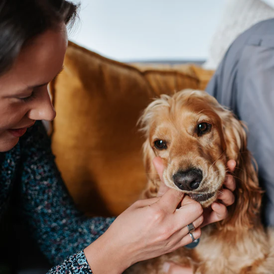 Kidney-Chek for Dogs