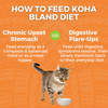 KOHA Limited Ingredient Bland Diet Wet Food Chicken and Rice Recipe for Cats - 6 oz