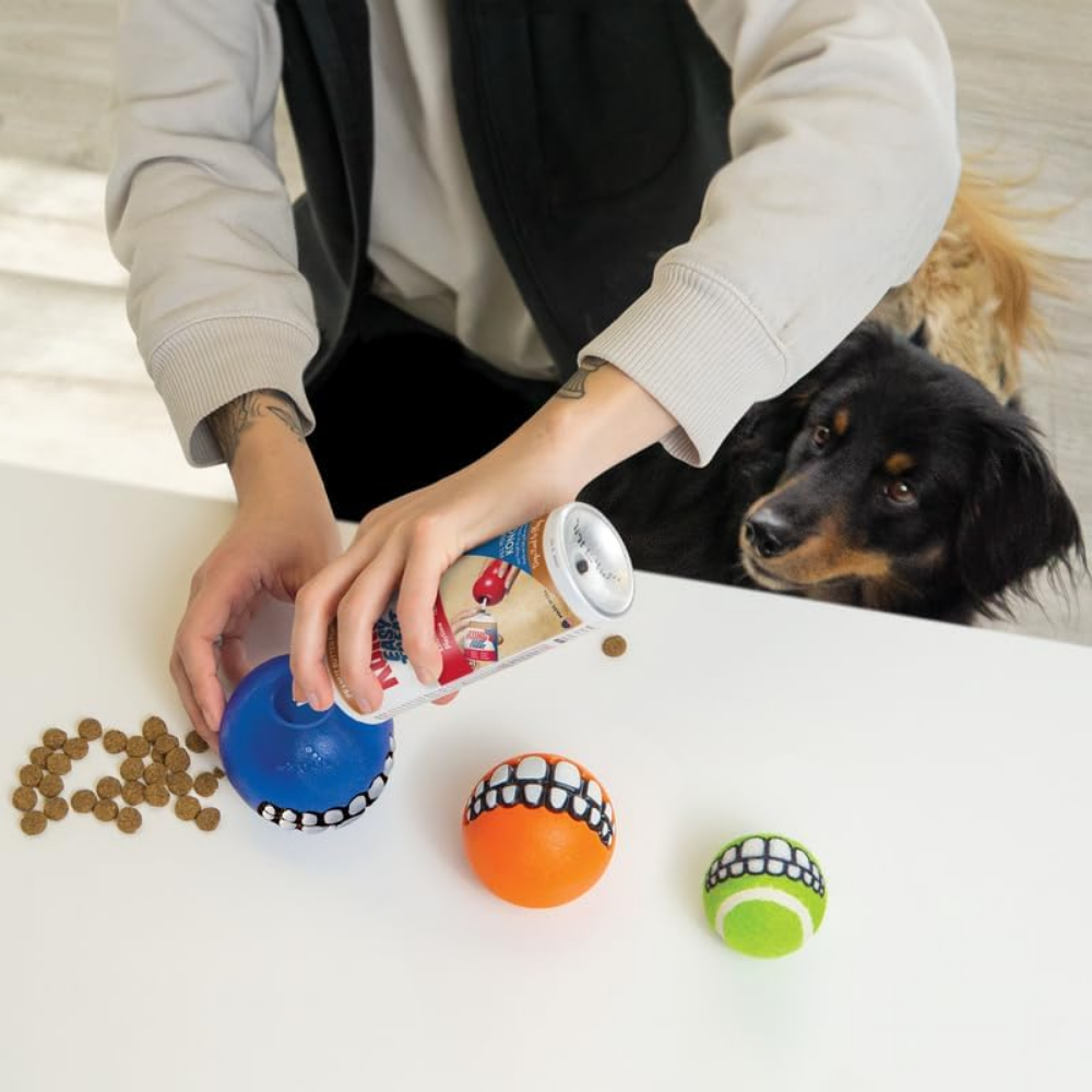 ROGZ Grinz Fetch Ball