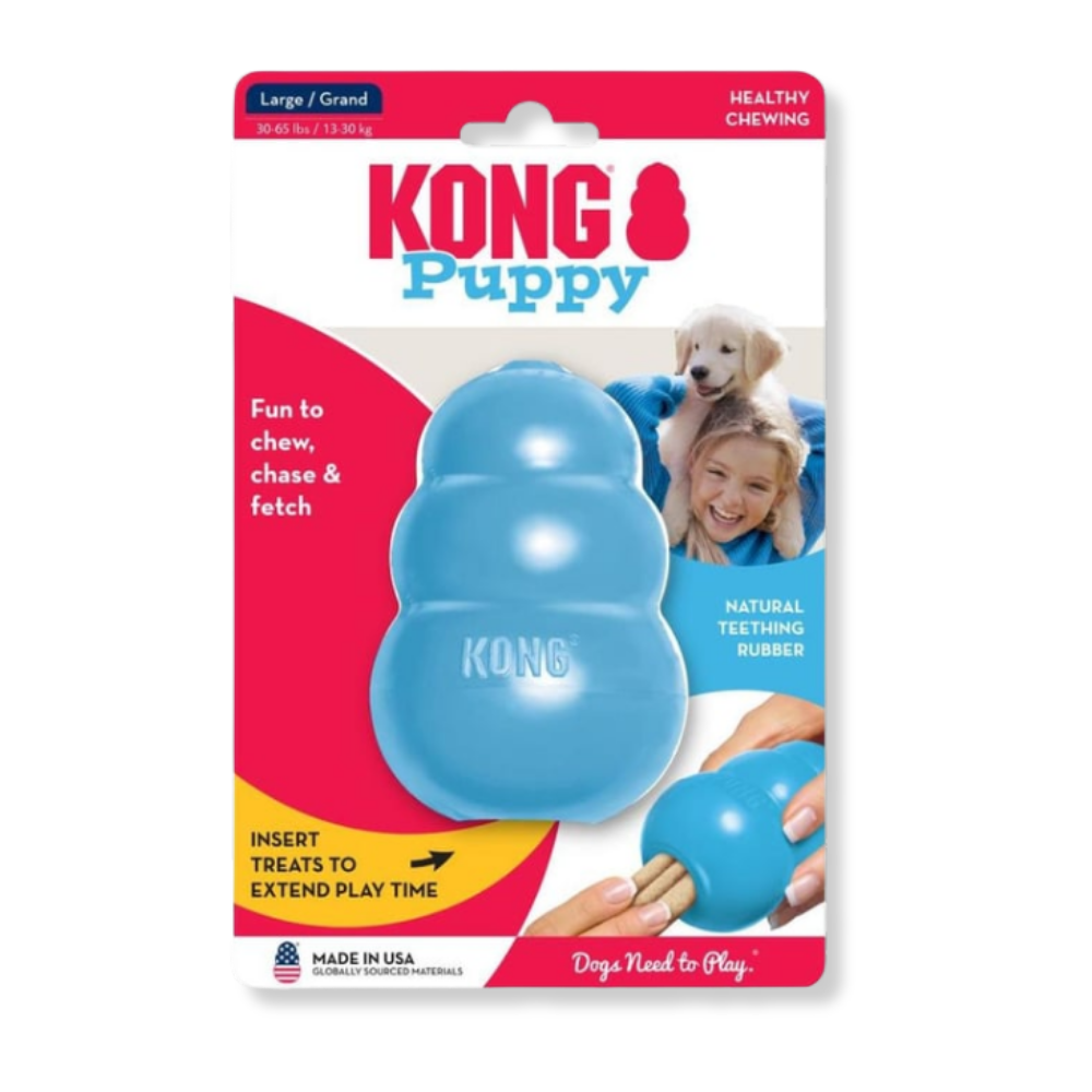 KONG Puppy