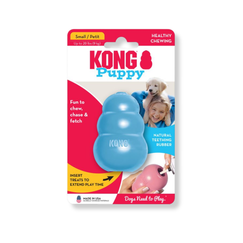 KONG Puppy
