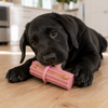 KONG Puppy Teething Stick - Large