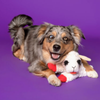 Multipet Lamb Chop Plush Dog Toy