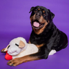 Multipet Lamb Chop Plush Dog Toy