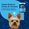 NaturVet Quiet Moments Calming Aid Plus Melatonin