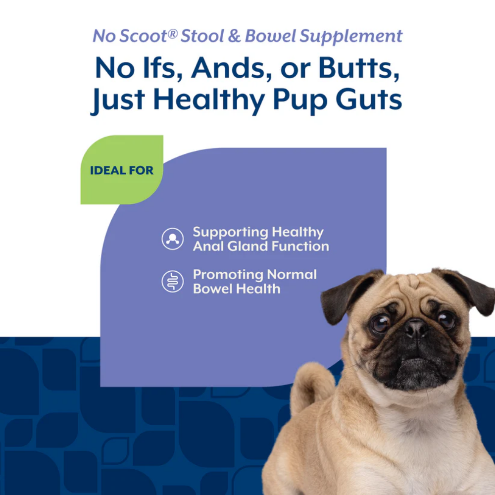 NaturVet No Scoot Plus Pumpkin Soft Chews