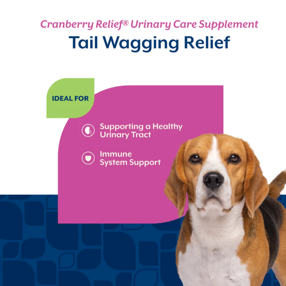 NaturVet Cranberry Relief Soft Chews - 60 Chews