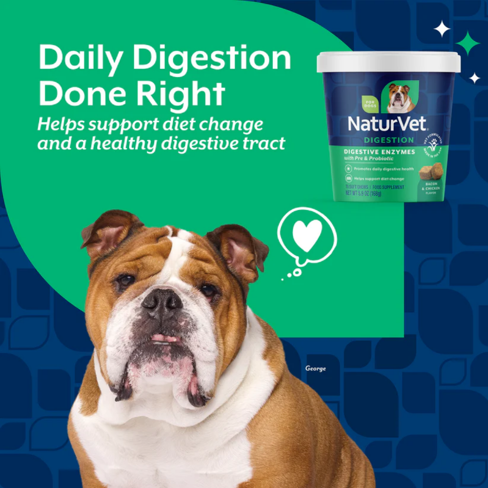 NaturVet Digestive Enzymes With Prebiotics and Probiotic