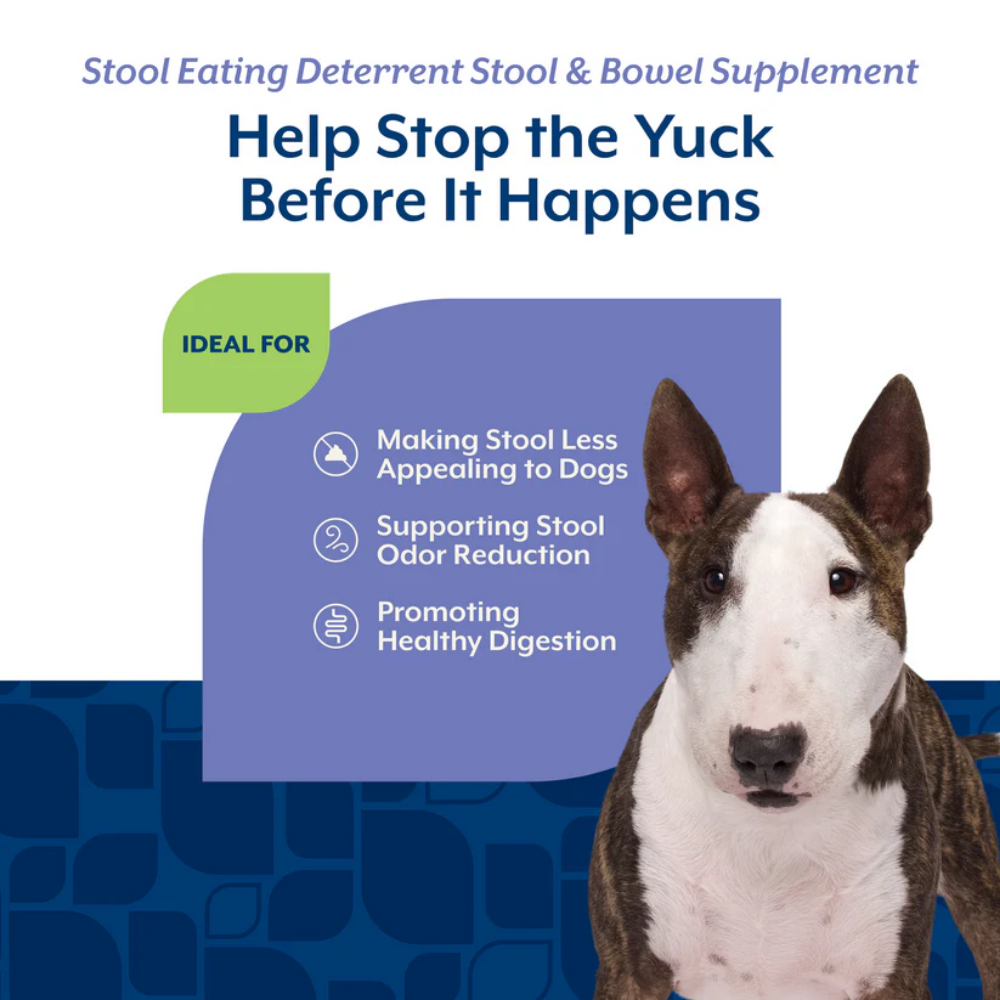 NaturVet Stool Eating Deterrent Soft Chews (formerly Coprophagia)
