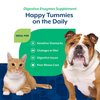NaturVet Digestive Enzymes Powder for Dogs and Cats