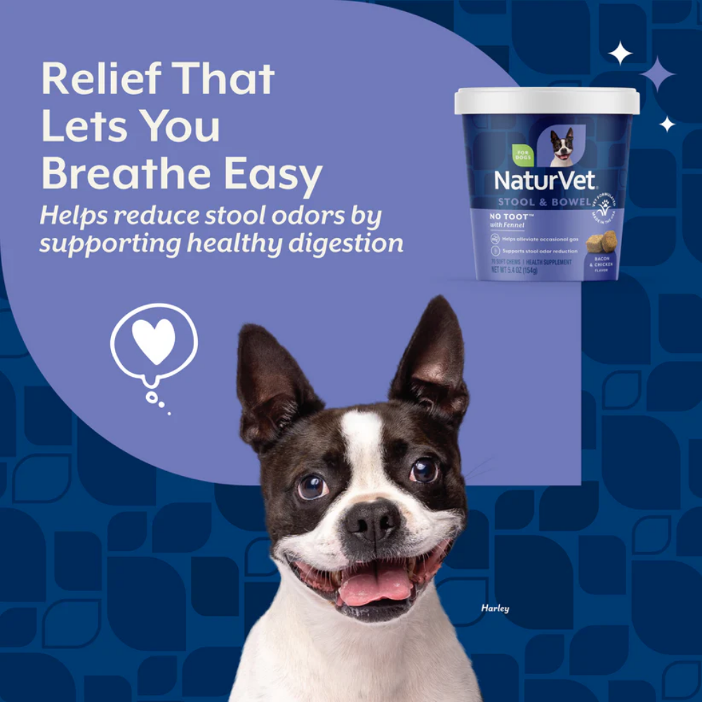 NaturVet No Toot Gas Aid Soft Chews - 70 Chews