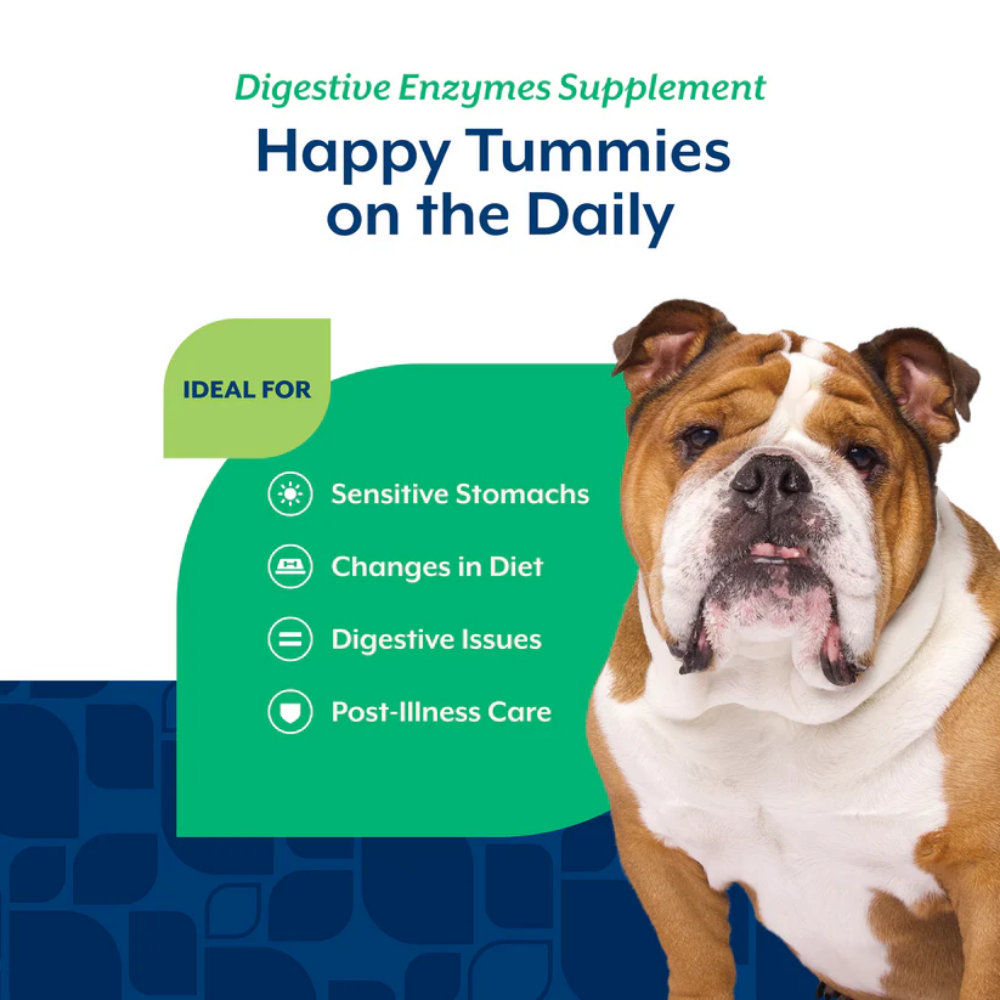 NaturVet Digestive Enzymes With Prebiotics and Probiotic