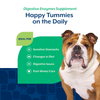 NaturVet Digestive Enzymes With Prebiotics and Probiotic