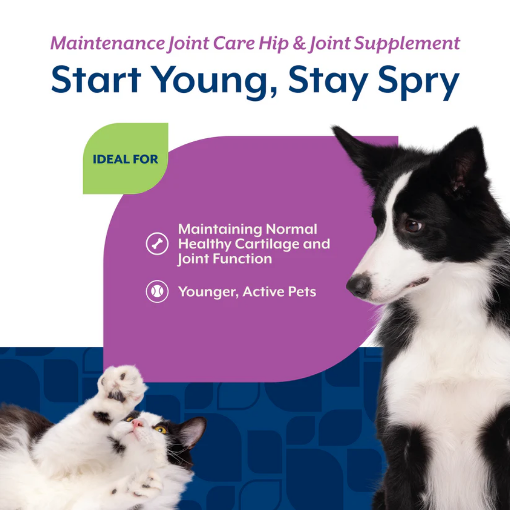 NaturVet Maintenance Joint Care Soft Chews for Dogs and Cats (formerly Glucosamine DS™) - 70 Chews