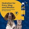 NaturVet Pet Electrolyte Concentrate for Dogs and Cats - 16 oz