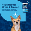 NaturVet Hemp Quiet Moments Calming Aid