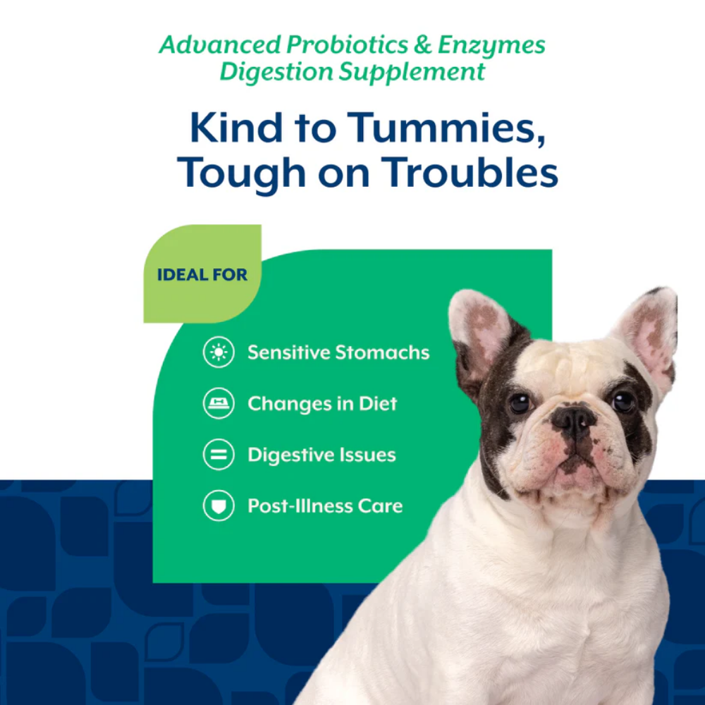 NaturVet Advanced Probiotic and Enzymes Soft Chews