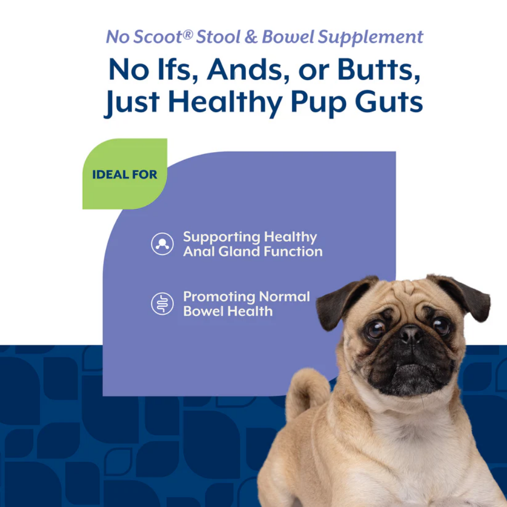 NaturVet No Scoot Plus Pumpkin Powder