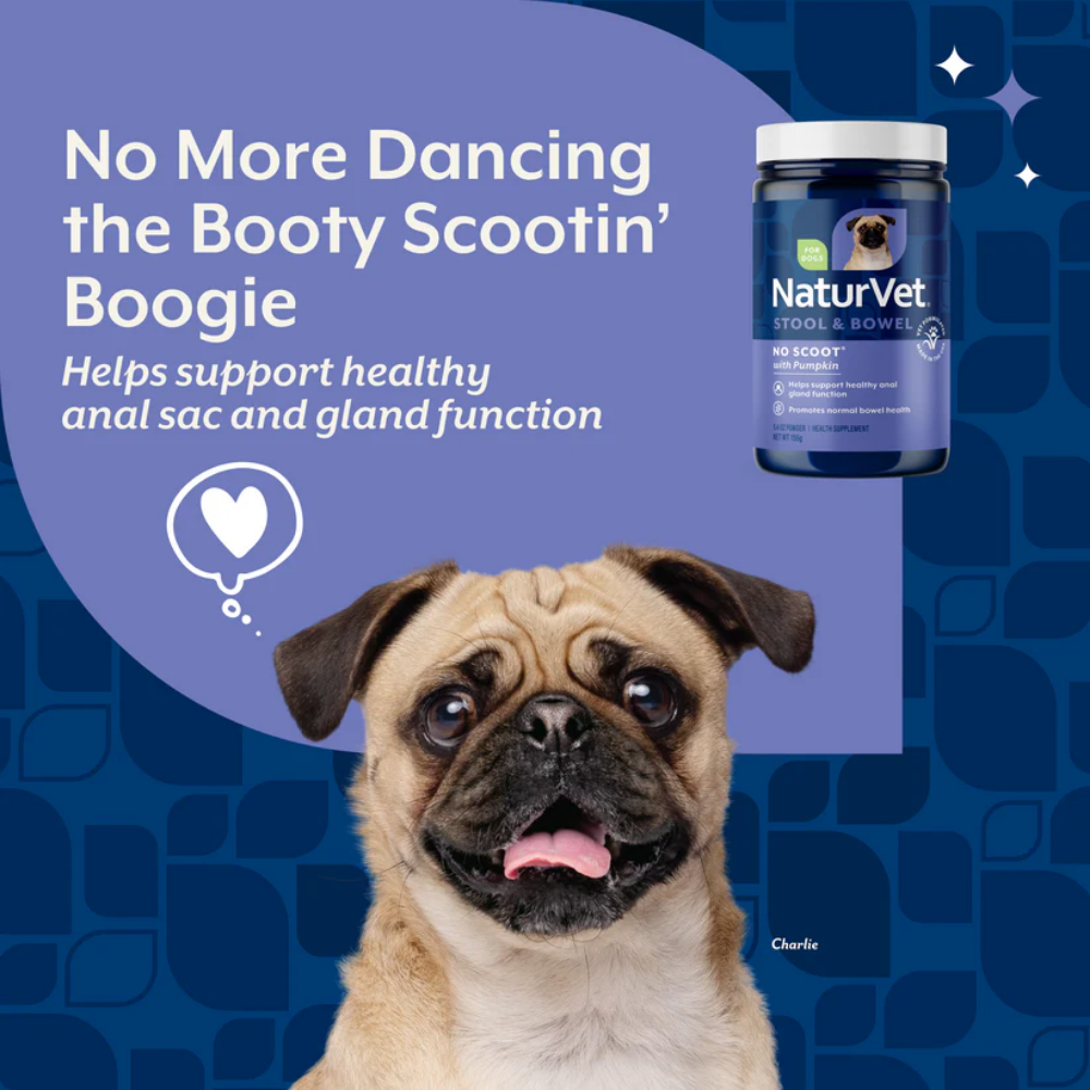 NaturVet No Scoot Plus Pumpkin Powder