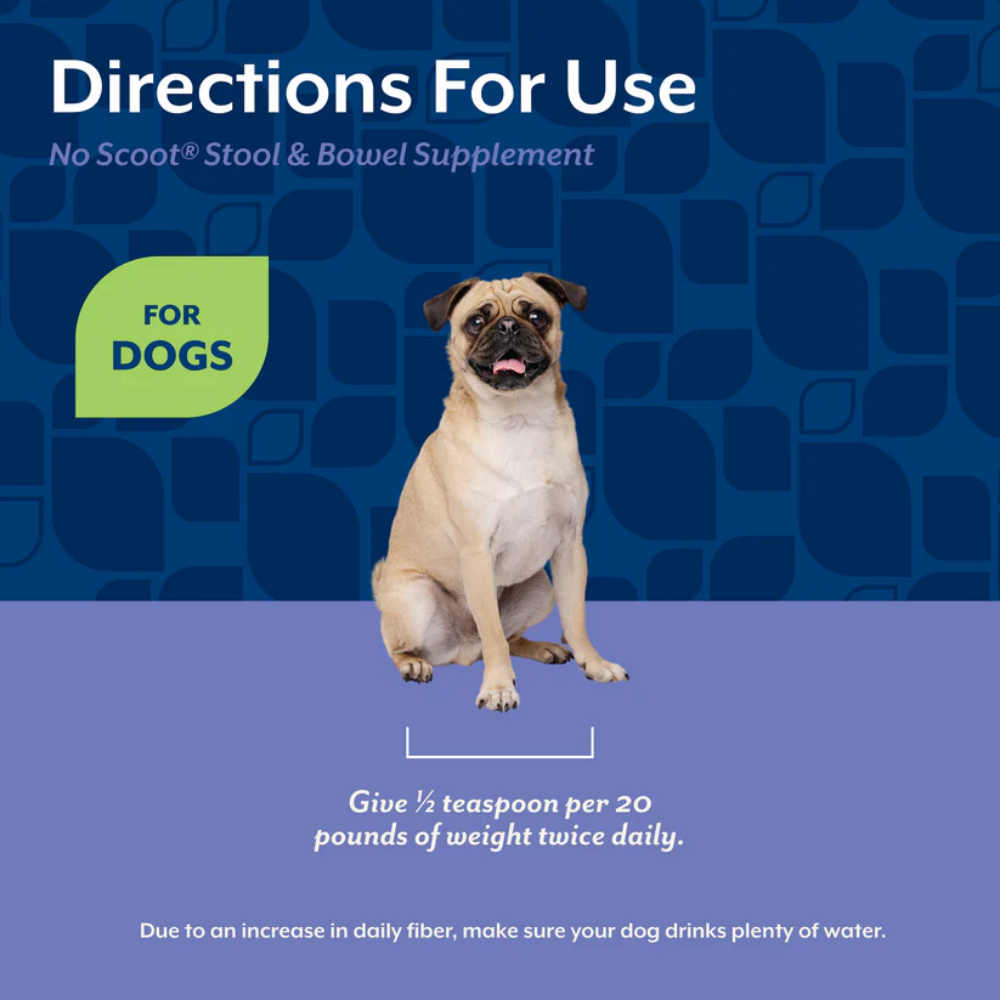 NaturVet No Scoot Plus Pumpkin Powder