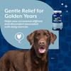 NaturVet Senior Soreness Relief - 60 Tablets