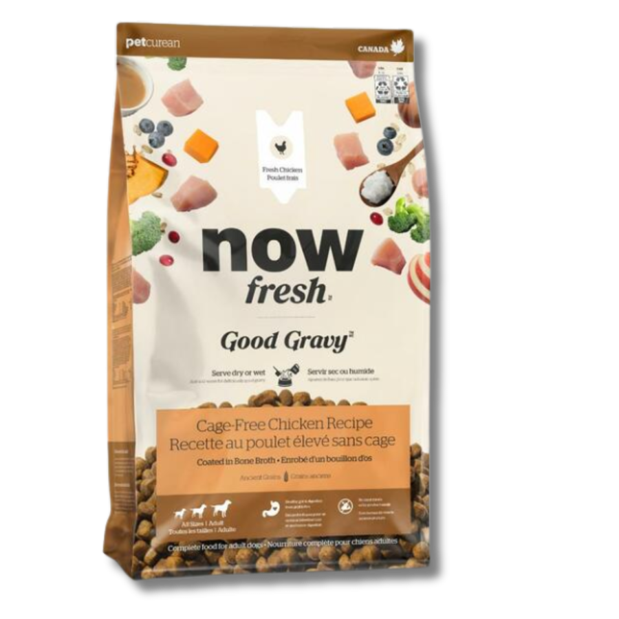 NOW Fresh Good Gravy Adult Chicken