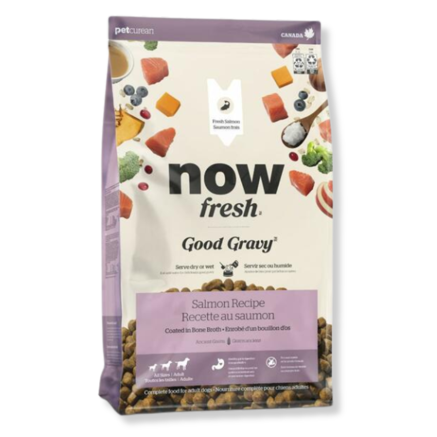 NOW Fresh Good Gravy Adult Salmon