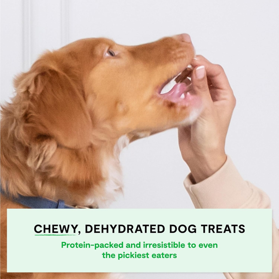 Open Farm Dog Dehydrated Beef Treats - 4.5 oz