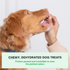 Open Farm Dog Dehydrated Beef Treats - 4.5 oz