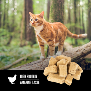 Orijen Freeze-Dried Cat Treats - Original