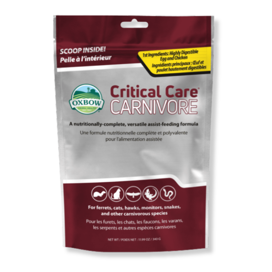 Oxbow Critical Care Carnivore Feeding Formula