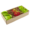 Oxbow Enriched Life Garden Dig Box
