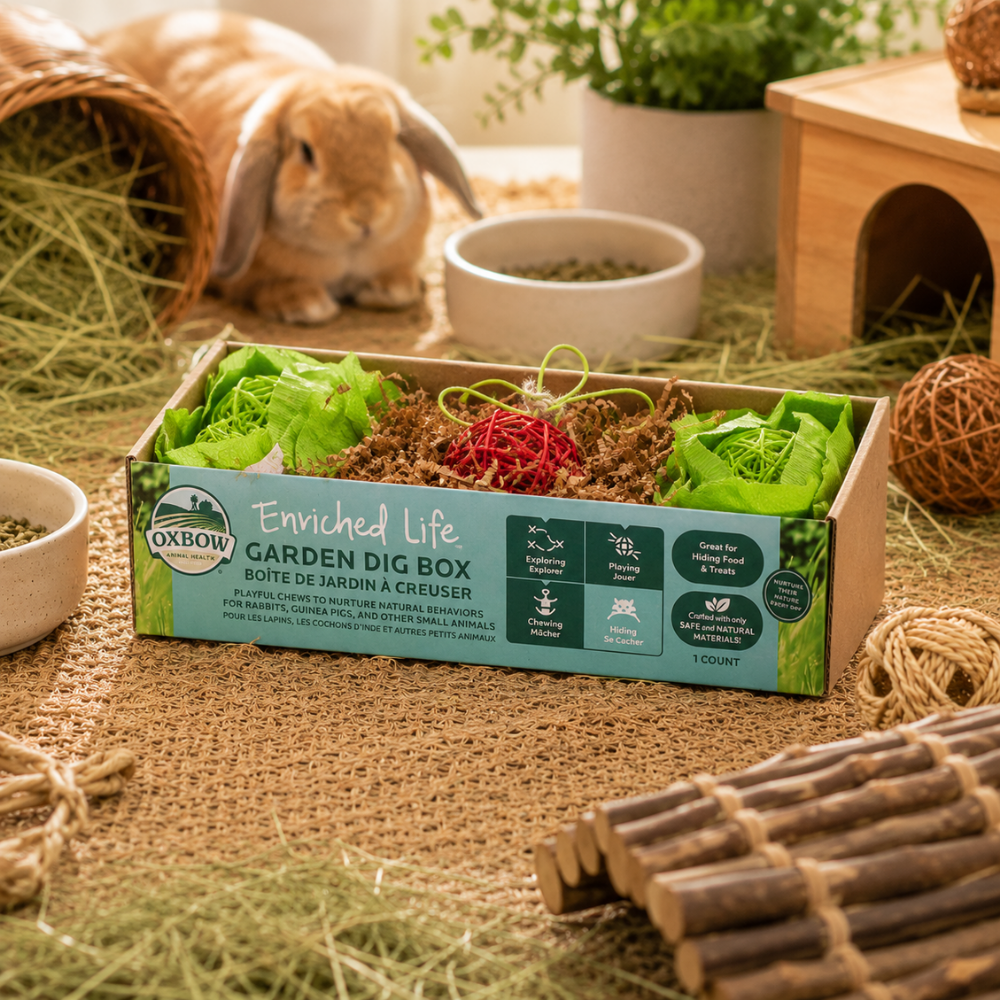 Oxbow Enriched Life Garden Dig Box
