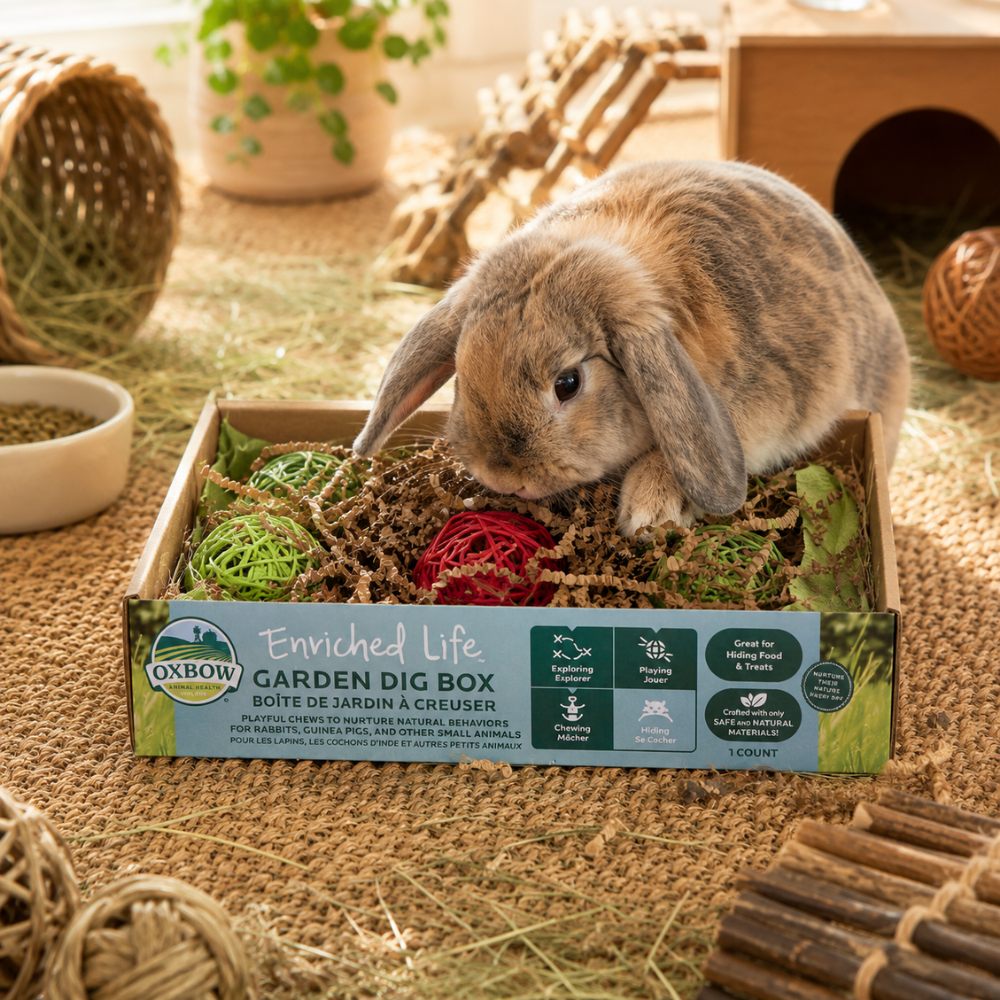 Oxbow Enriched Life Garden Dig Box