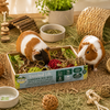 Oxbow Enriched Life Garden Dig Box