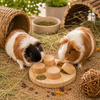 Oxbow Enriched Life Wooden Puzzler