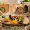 Oxbow Enriched Life Celebration Party Pack
