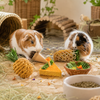 Oxbow Enriched Life Celebration Party Pack