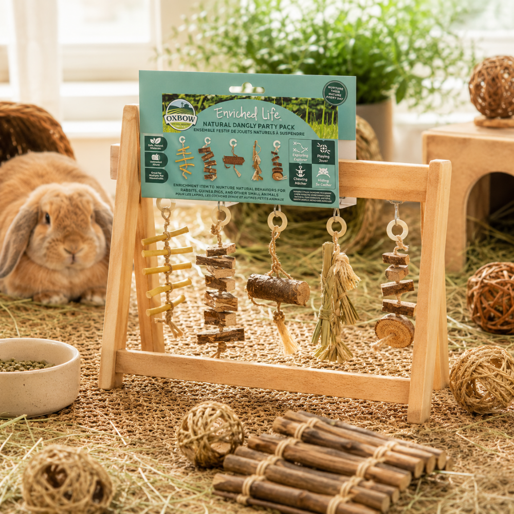 Oxbow Enriched Life Natural Dangly Party Pack