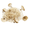 Oxbow Enriched Life Honeycomb Hide and Play