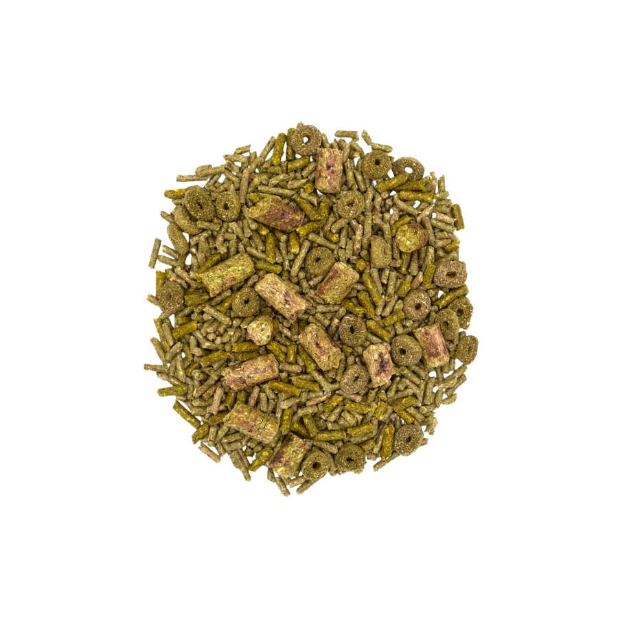 Oxbow Forage Wise Adult Rabbit Food - 4 lbs