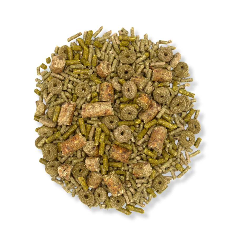 Oxbow Forage Wise Adult Guinea Pig Food - 4 lbs