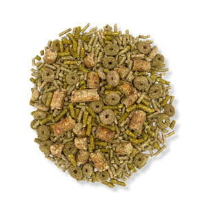 Oxbow Forage Wise Adult Guinea Pig Food - 4 lbs