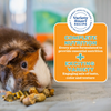 Oxbow Forage Wise Adult Guinea Pig Food - 4 lbs