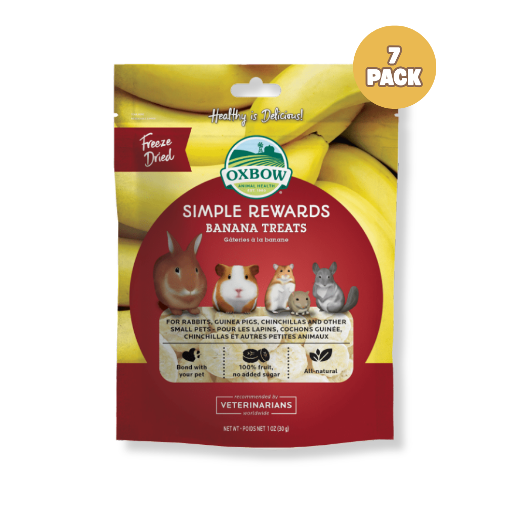 OXBOW Simple Rewards Banana Treats